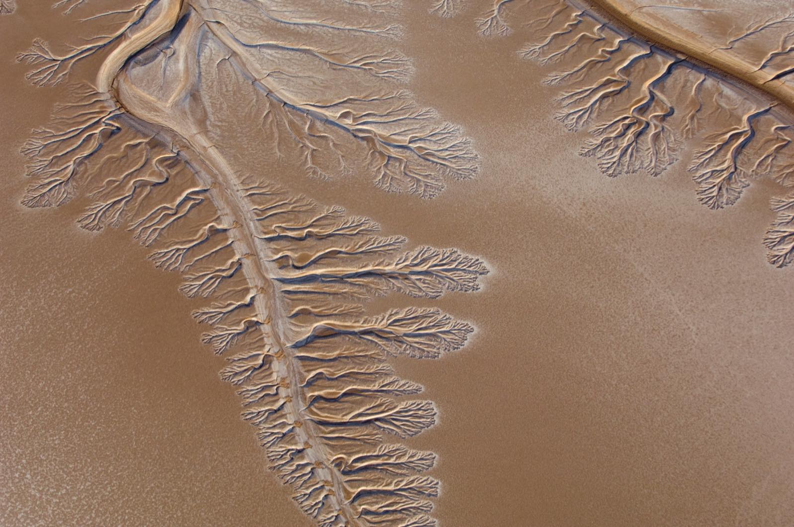 Aerial photograph of the dry Colorado River delta in Mexico, where branching tidal channels are etched into flat brown mudflats with no water flowing through them