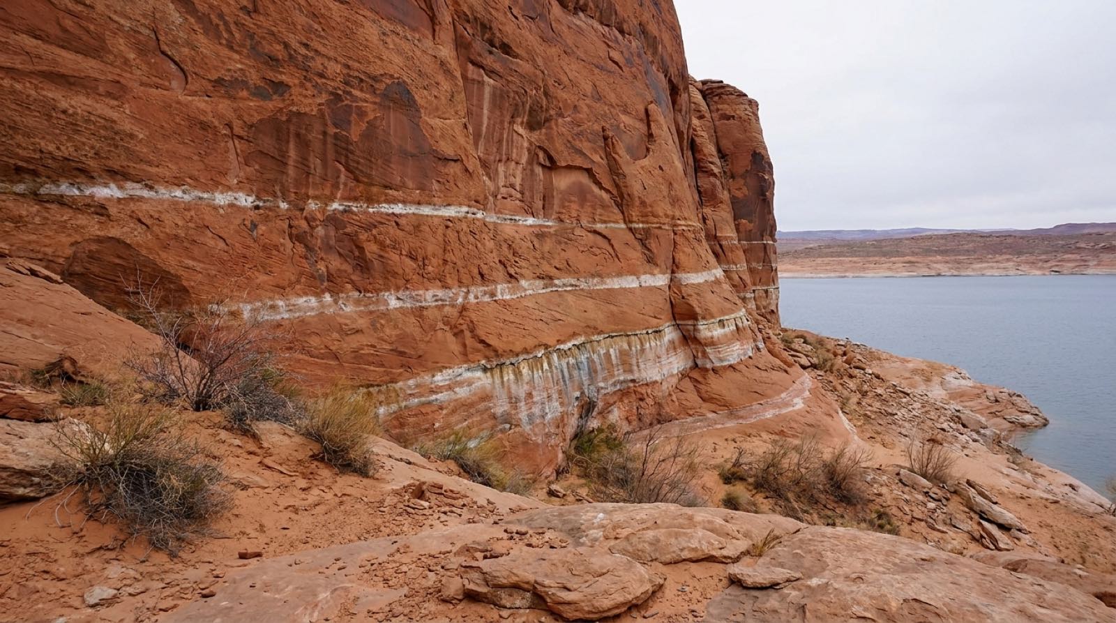 A weathered red sandstone canyon wall at Lake Powell marked with horizontal pale mineral staining bands from past higher waterlines, the current low reservoir far below the highest band under flat overcast light.