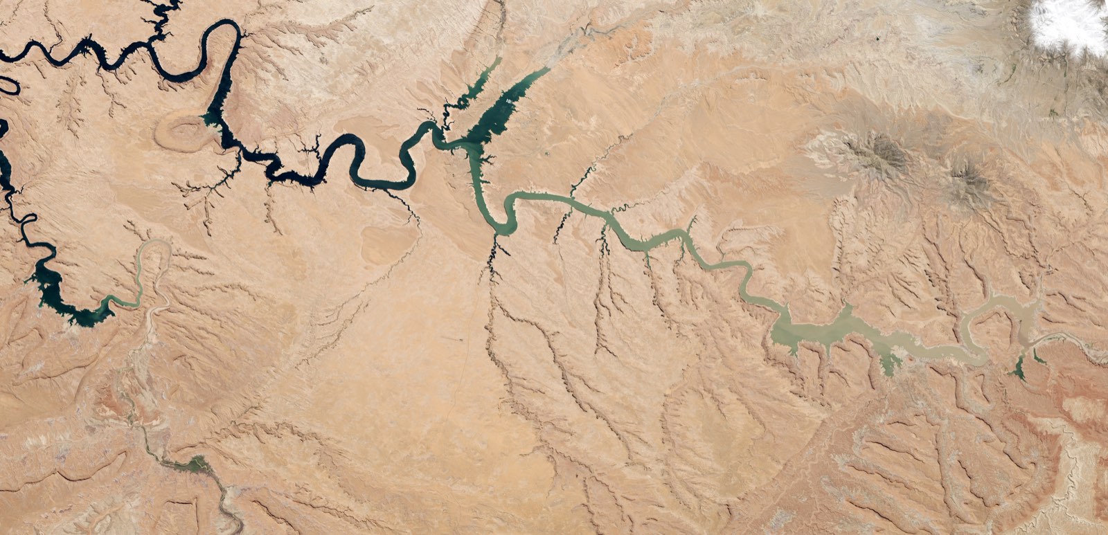 Landsat satellite view of Lake Powell's upper reaches, where dark blue reservoir water branches through tan desert canyons before narrowing to a thin green river arm